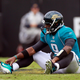 Image for article titled The Jaguars Cut An Injured David Garrard Because They're Cheap, His Agent Says